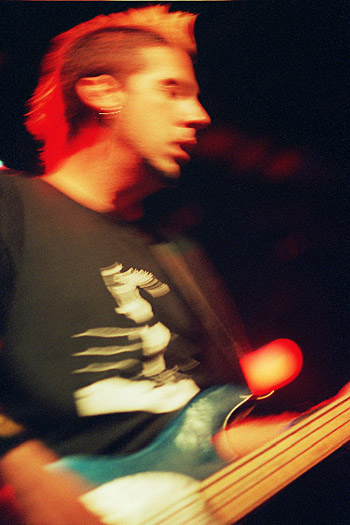m-ben-zebrahead