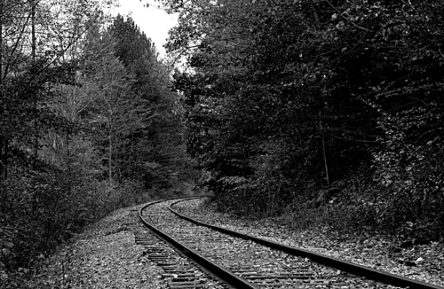 DSC_0011w