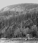 shack_at_water_w